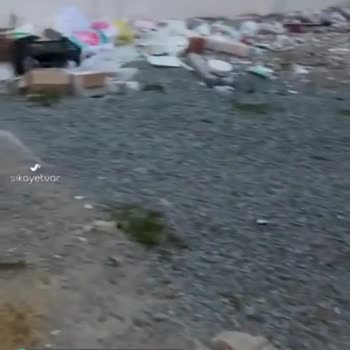 Bahçelievler Belediyesi Mahallemiz Pislik İçinde; Pireler, Fareler...