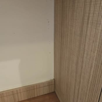 Restoranda Kedi Ve Hijyen Sorunu