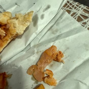 Maydonoz Döner'de Çiğ Et Tespiti Ve Hijyen Denetimi