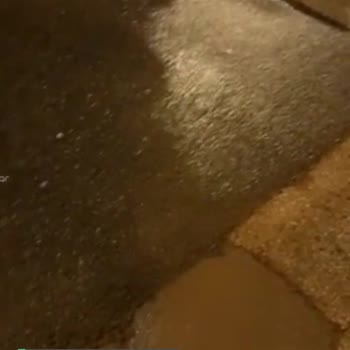 753. Sokak Dutlubahçe Dutlubahçe Muhtarlığı'nın Yanındaki Yol