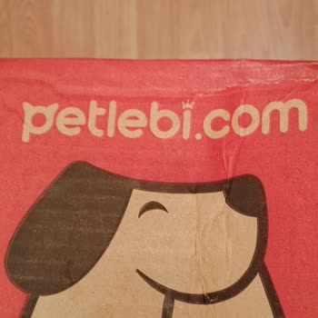 Kapağı Gevşek Şampuan Sızması Ve Paketleme Sorunu