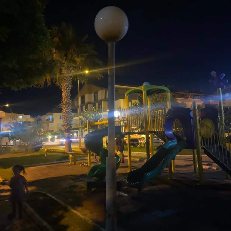 Parkta Aydınlatma ve Sivrisinek Sorununa Çözüm Talebi