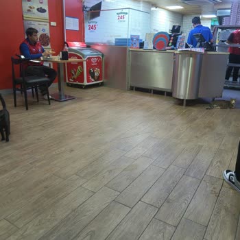 Domino's Pizza Körfez Şubesinde Kedilerin Serbestçe Dolaşması Hijyen Sorunu Oluşturuyor