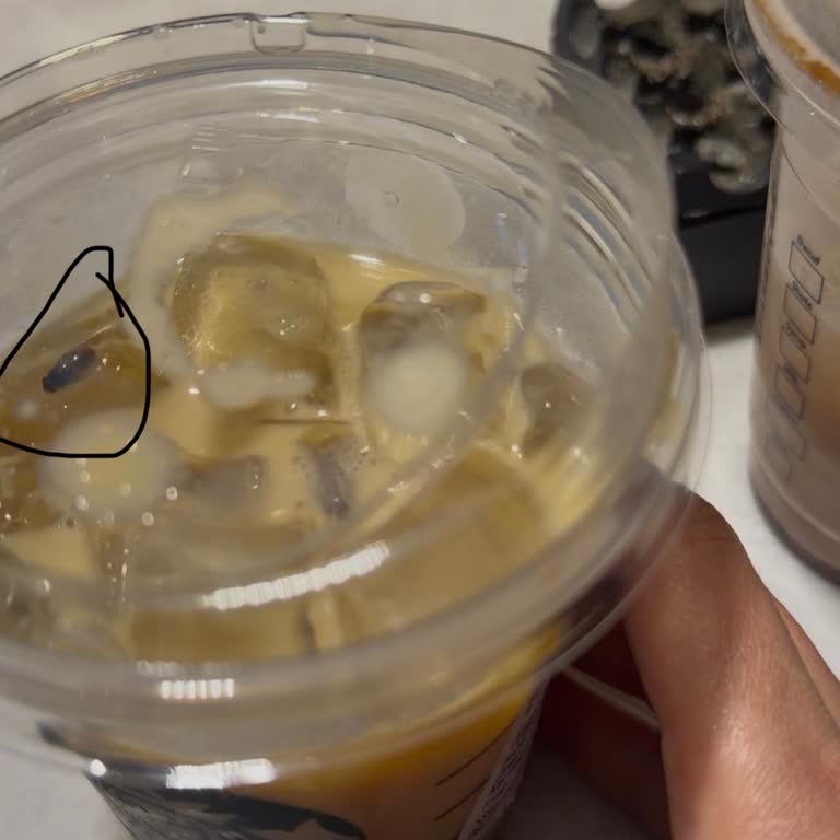 Starbucks Kahvesinde Sinek Görüldü Hijyen Endişesi