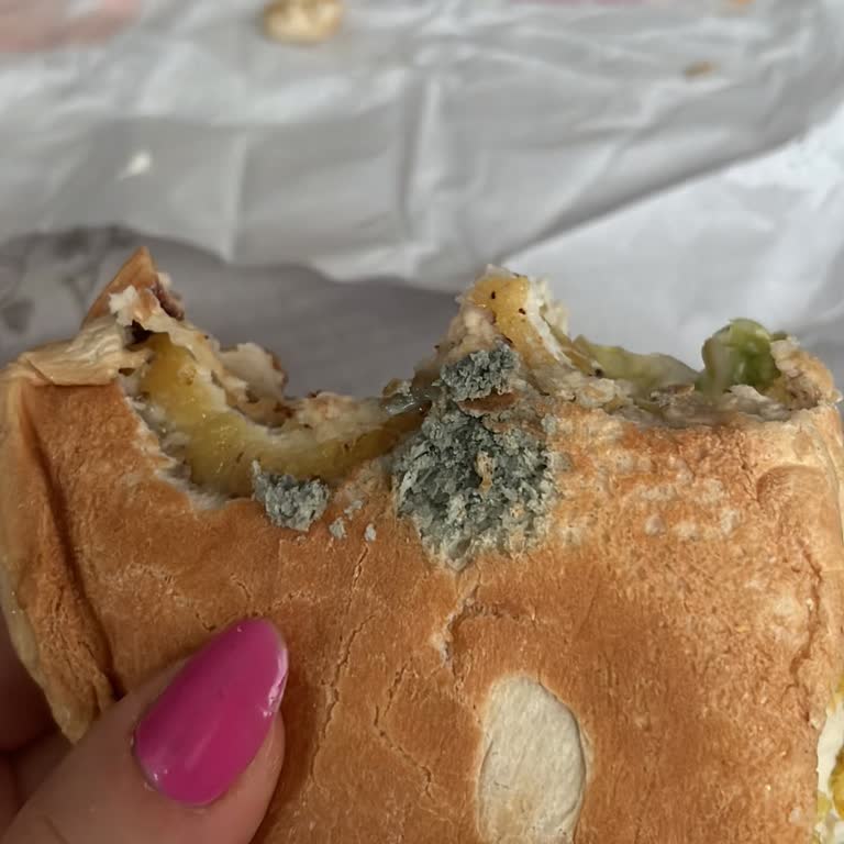 Küflü Burger Ekmeği Ve Cevapsız Müşteri Hizmeti