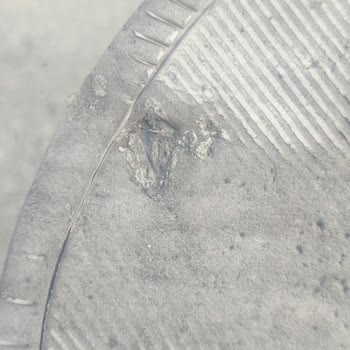 Hızlı Deformasyona Maruz Kalan Polo Ayakkabısı İçin Değişim İsteği