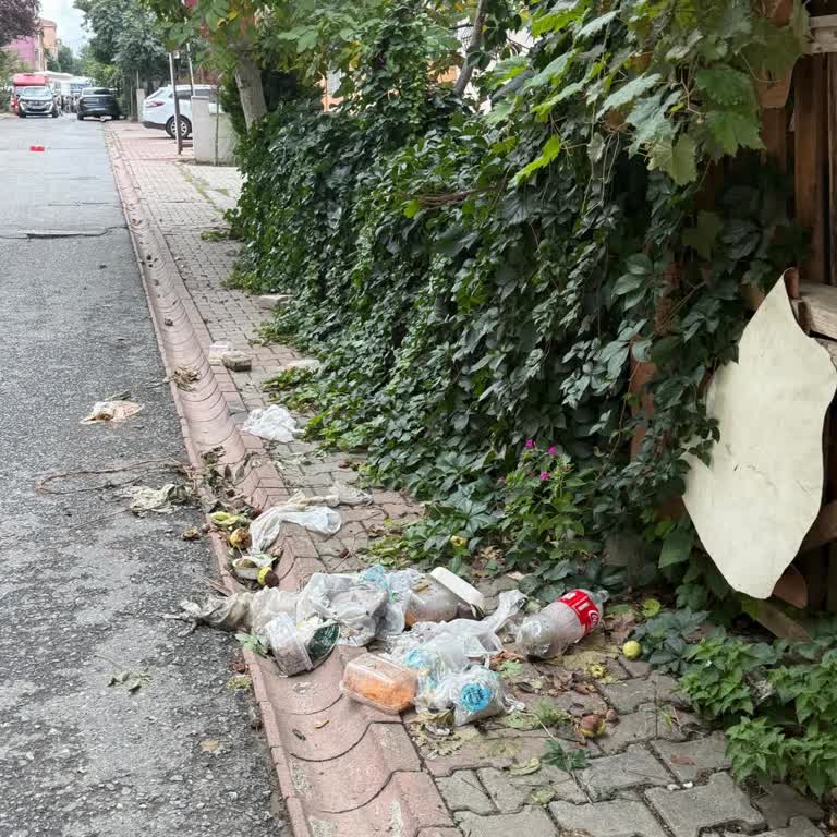 Komşunun İdrar Ve Atıkları Kapı Önüne Atması Ve Sağlık Riski