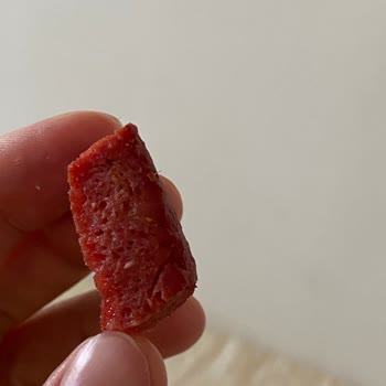 Markalı Sucukta Kıl Bulunması Ve Ürün İadesi