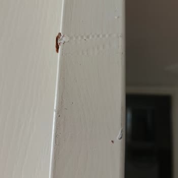 Beko Teslimat Ekibi Hoyrat Ve Saygısız Davranarak Kapıyı Zarar Verdi