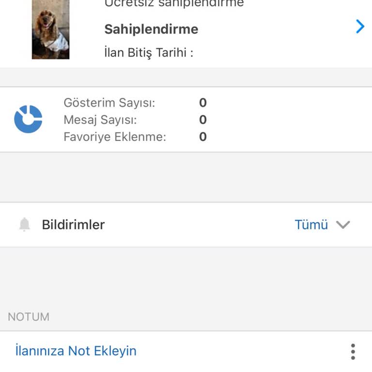 Sahibinden.com Ücretsiz Hayvan Sahiplendirme İlanı Neden Reddediliyor?