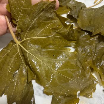 Ürün Gelmedi, Şikayetler Cevapsız Ve Yorumlar Siliniyor