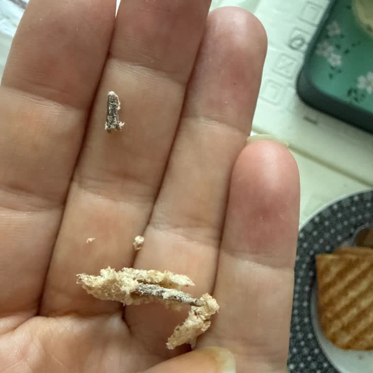 BİM Ekmeğinde Kesici Tahta Parçası Bulunması Çocuğumu Tehlikeye Soktu