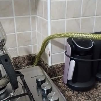 Kumtel Umursamaz Servis!