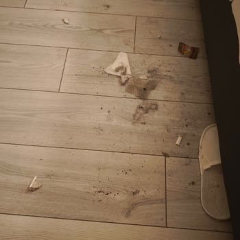 Vaat Edilen Hizmetler Sunulmadı, Hijyen Ve Güvenlik Tehlikesi