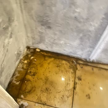Vaat Edilen Hizmetler Sunulmadı, Hijyen Ve Güvenlik Tehlikesi