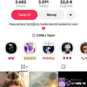 TikTok'ta İftira ve Hesap Kapatma Şikayeti