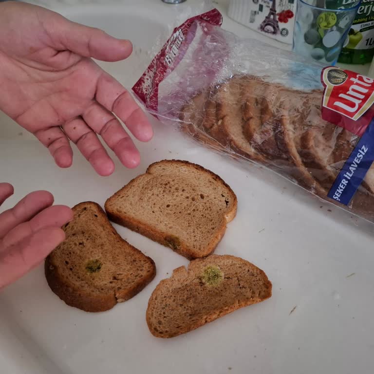 Küflü Ve Yağlı Untad Premium Tam Buğday Ekmeği Değişim Talebi