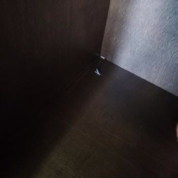 Ankara Türkoğlu Nakliyat Taşınma Sonrasında Eşyalarımda Ciddi Hasarlar Gördüm
