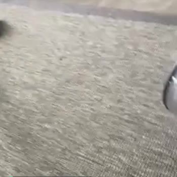 Dyson Müşteri Hizmetinden Memnun Değilim!