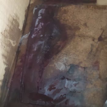 Aras Kargo’da Teslimat Gecikmesi Nedeniyle Yaban Mersini Çürüdü