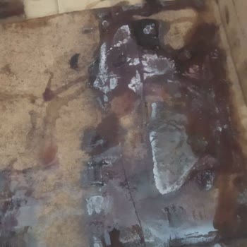 Aras Kargo’da Teslimat Gecikmesi Nedeniyle Yaban Mersini Çürüdü