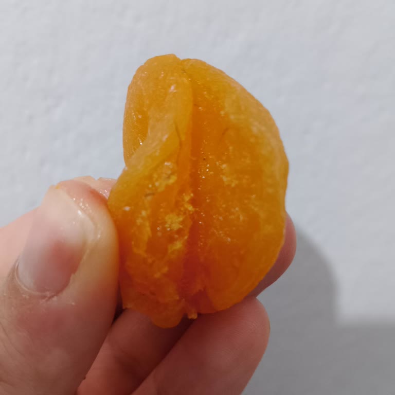 Tadım Kuru Kayısının İçinde Kıl Olması Hijyen İhlali