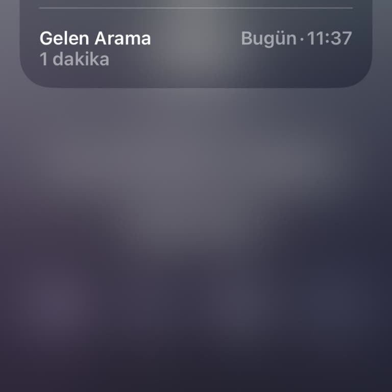 02129459581 İzinsiz Kişisel Verilerimin Silinmesi Ve Tekrarlanan Aramaları Durdurma