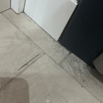 Bilgin Pide (Denizli) Yüzünden Evimde Temiz Hava Soluyamıyorum