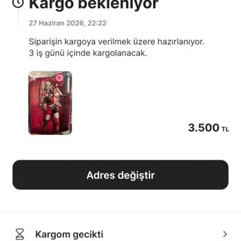 Kargo Gecikmesi Ve Canlı Destek Yanıtsızlığı Nedeniyle 3.782,99 TL İadesi Talebi