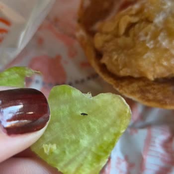 Hamburgerde Marulda Böcek Şok Hijyen Sorunu