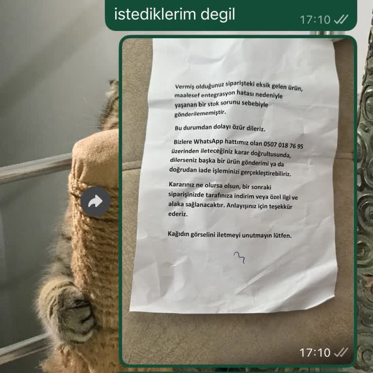 Eksik Ve Yanlış Gönderilen Tişörtler İçin Tam Düzeltme Talebi