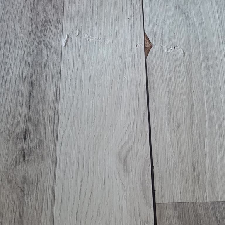 Arçelik Buzdolabı Arızası Ve Parke Zararının Telafisi