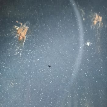 Dörtyol Tütüncü AVM'den Aldığım Ürünlerde Kalitesiz Bozulma Ve Yardımsız Hizmet