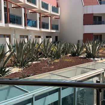 Tatilbudur Deniz Manzaralı Oda İddia Edildi Restoran Manzaralı Oda Sunuldu