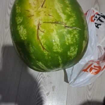Migros Hemen'de Bozuk Sebze Ve Meyve Ürünleri Ve Geciken Müşteri Yanıtı