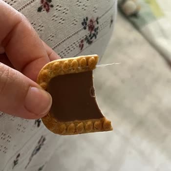 Eti Ürününde Plastik Yabancı Madde Bulunması Ve Çözüm Talebi