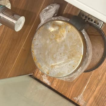 Böceklerle Dolu Oda Ve Hijyen Sorunları: Tatilbudur’dan İptal Ve İade Talebi