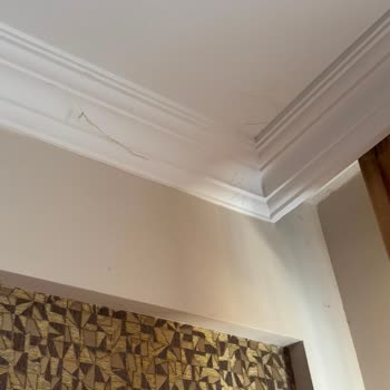 Böceklerle Dolu Oda Ve Hijyen Sorunları: Tatilbudur’dan İptal Ve İade Talebi