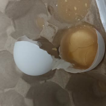 Bozuk Yumurta Satışı Nedeniyle Sağlık Riski Ve Mağduriyet