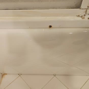 Perre Delta Hotel’de Hijyen Ve Personel Sorunları Ücretle Uyumlu Değil