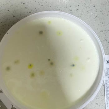 Küflenmiş Yoğurttan Gıda Güvenliği Endişesi Ve İade Talebi