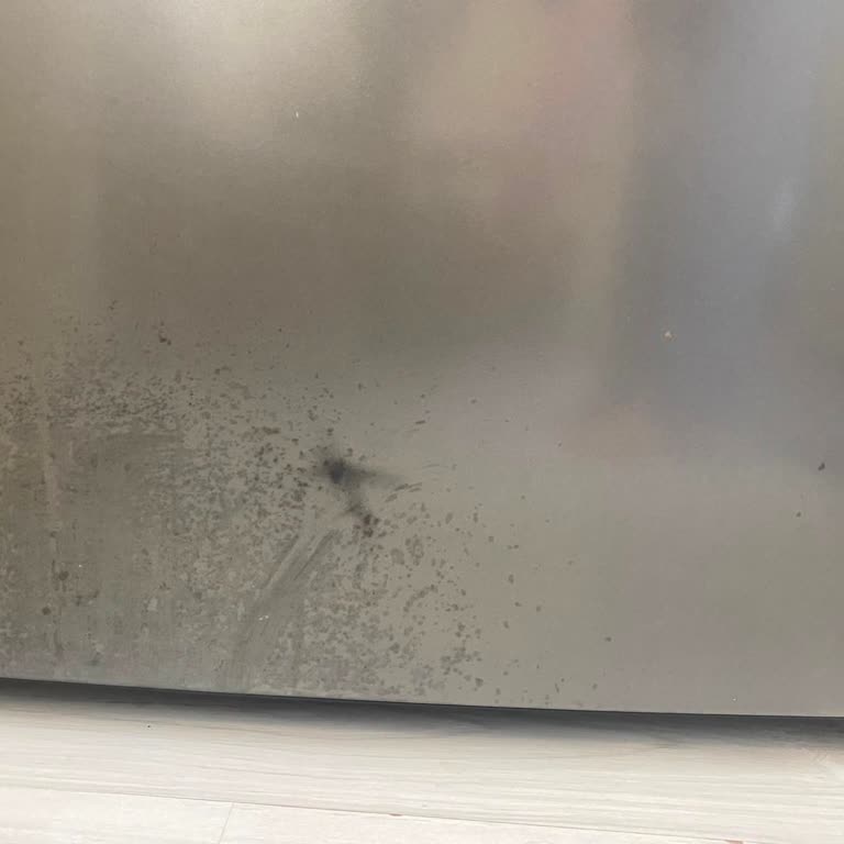 Garanti Kapsamında Buzdolabı Kapısındaki Boya Ve Leke Sorunu İçin Değişim Talebi