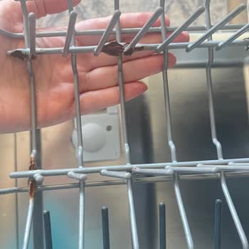 Arçelik Bulaşık Makinesi Sepetlerinde Paslanma Ve Sağlık Tehlikesi