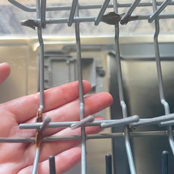 Arçelik Bulaşık Makinesi Sepetlerinde Paslanma Ve Sağlık Tehlikesi