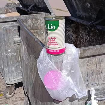 Şok Marketler Lio Zeytin Yazıldığı Şekilde Çıkmamıştır