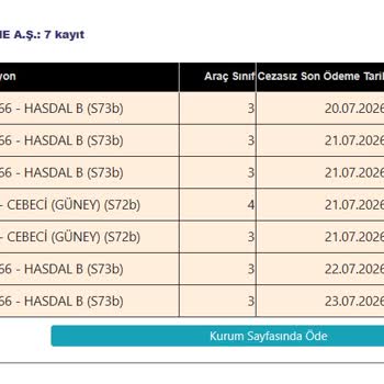HGS Etiketim Yanlış Araçla Karışıyor Ve 2000 TL Üzerinde Haksız Ücret Alınıyor