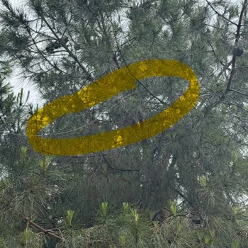 TurkNet Fiber Kesintisi İşime Engel Olan 32 Gün Süreyle Devam Ediyor