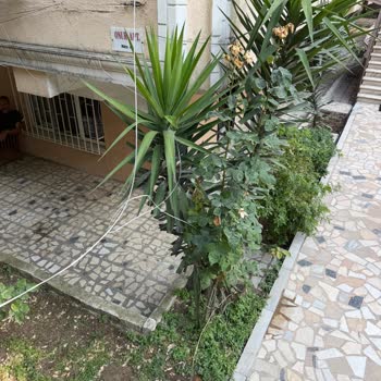 TurkNet Fiber Kesintisi İşime Engel Olan 32 Gün Süreyle Devam Ediyor