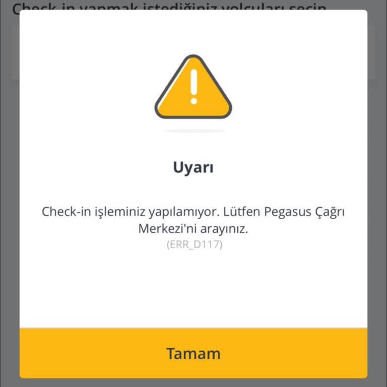 Check-in Sorunu Nedeniyle Uçağa Alınamama Ve Yardım Bulamama