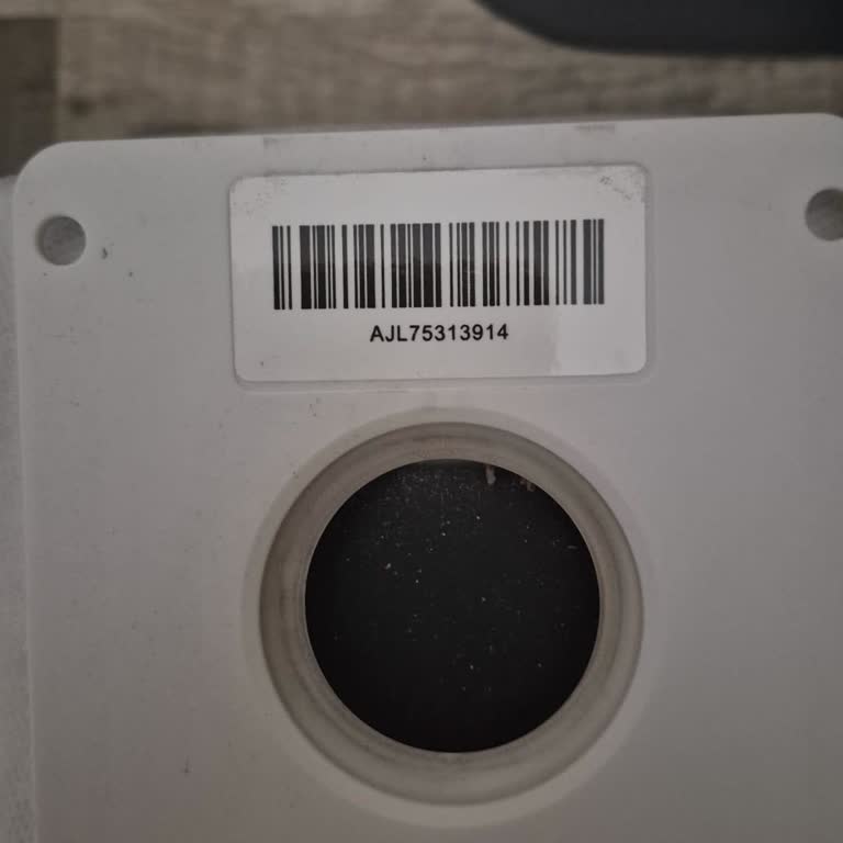 LG A9 Süpürge Toz Torbası Bulunamıyor Ve Yetkili Servis Yanıt Vermiyor